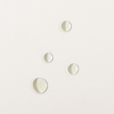 Bakuchiol Bio - Retinol Concentrate Serum - Étymologie - Beauties Lab