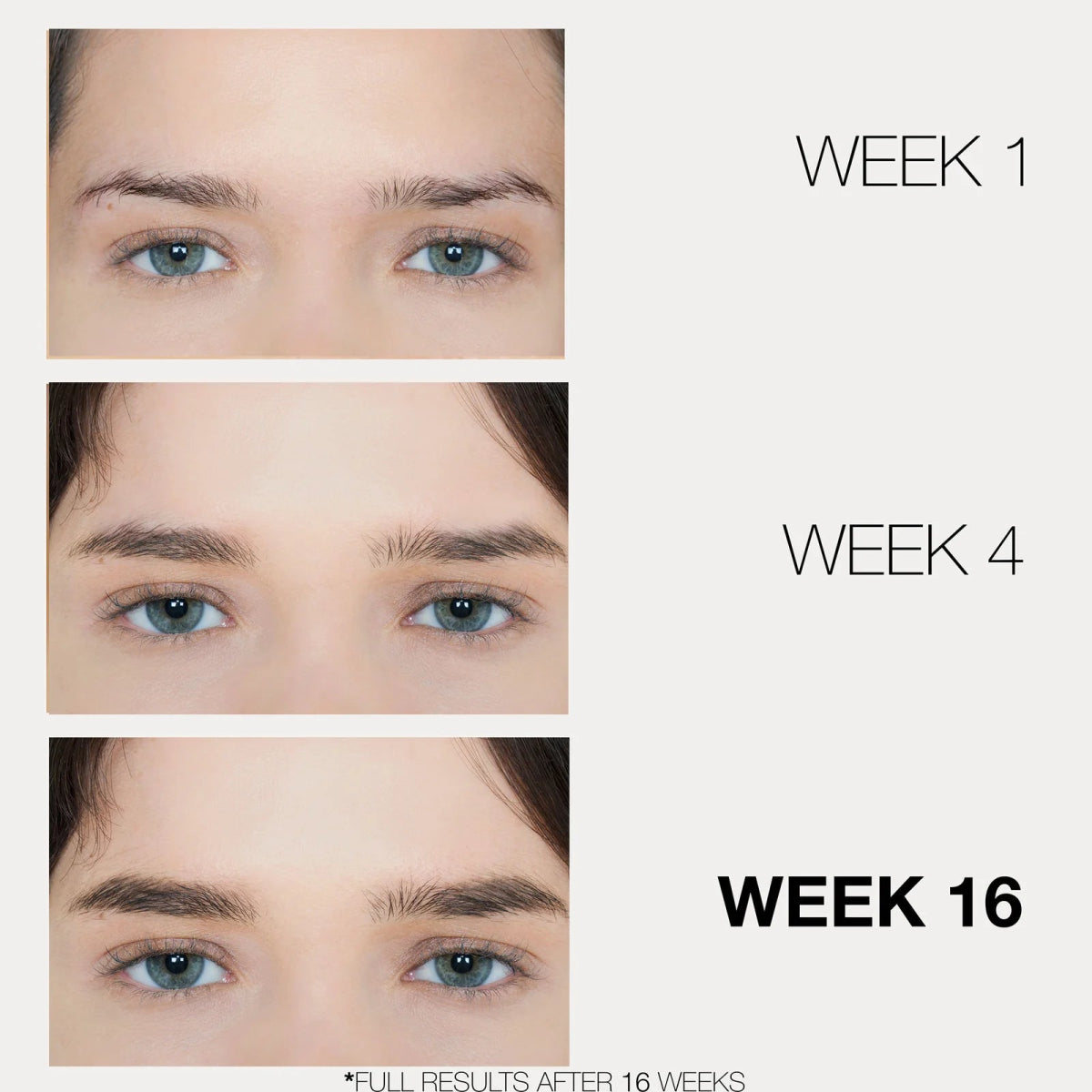 BROWFOOD Eyebrow Enhancer - Lashfood - Beauties Lab