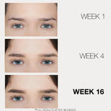 BROWFOOD Eyebrow Enhancer - Lashfood - Beauties Lab