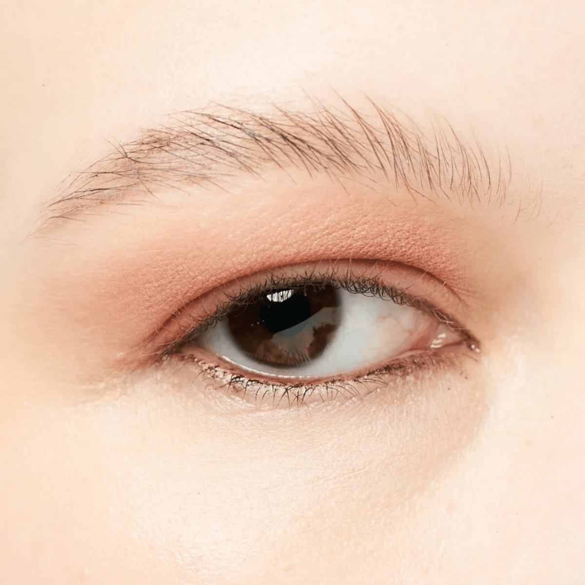 Eyelights - RMS Beauty - Beauties Lab