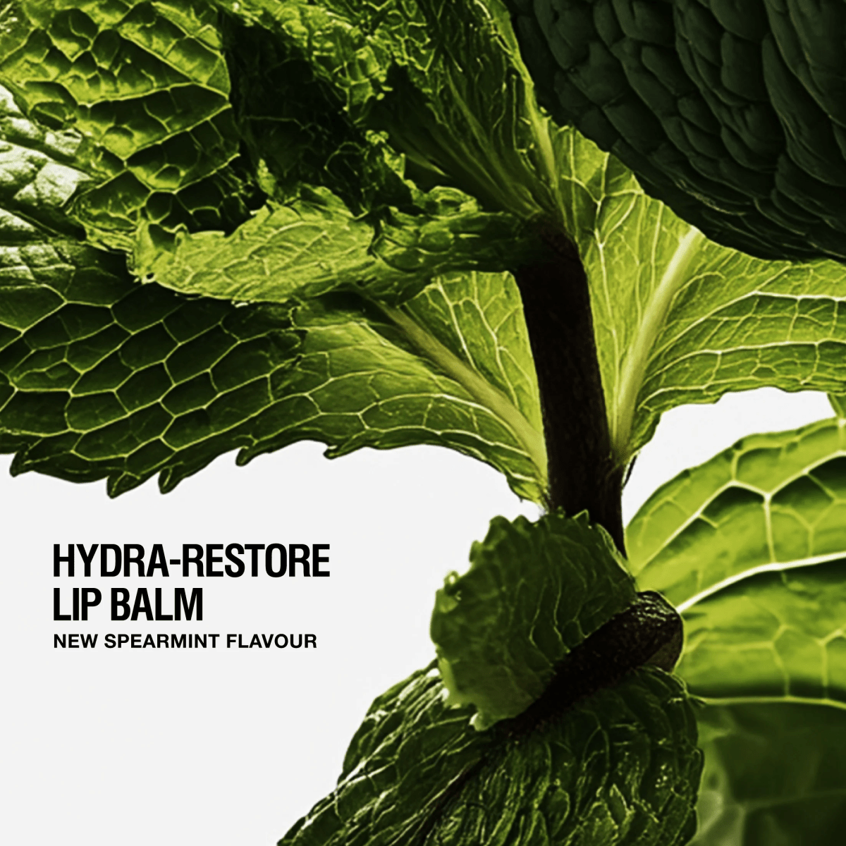 Hydra-Restore Lip Balm Spearmint - Grown Alchemist - Beauties Lab