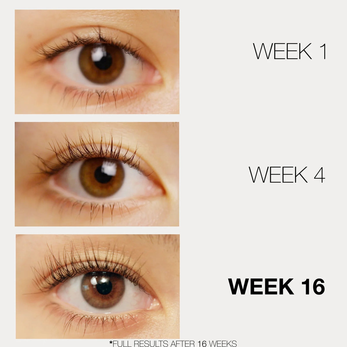 LASHFOOD Eyelash Enhancer - Lashfood - Beauties Lab