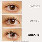 LASHFOOD Eyelash Enhancer - Lashfood - Beauties Lab