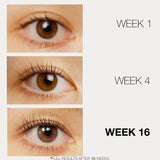 LASHFOOD Eyelash Enhancer - Lashfood - Beauties Lab