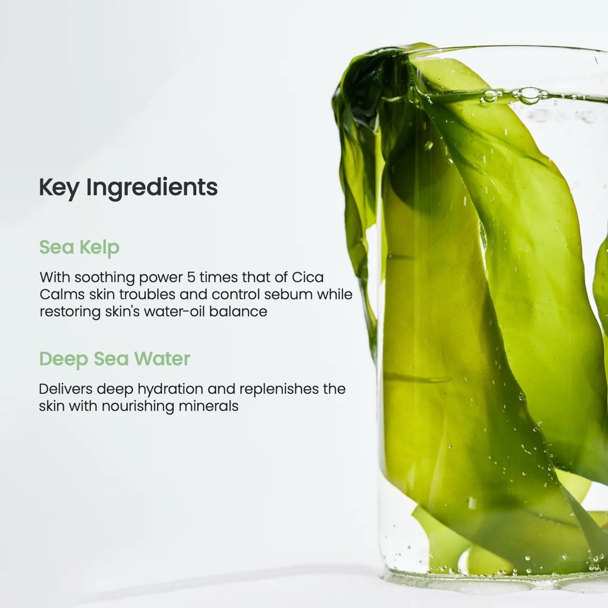 Refreshing Sea Kelp Real Deep Mask - Biodance - Beauties Lab