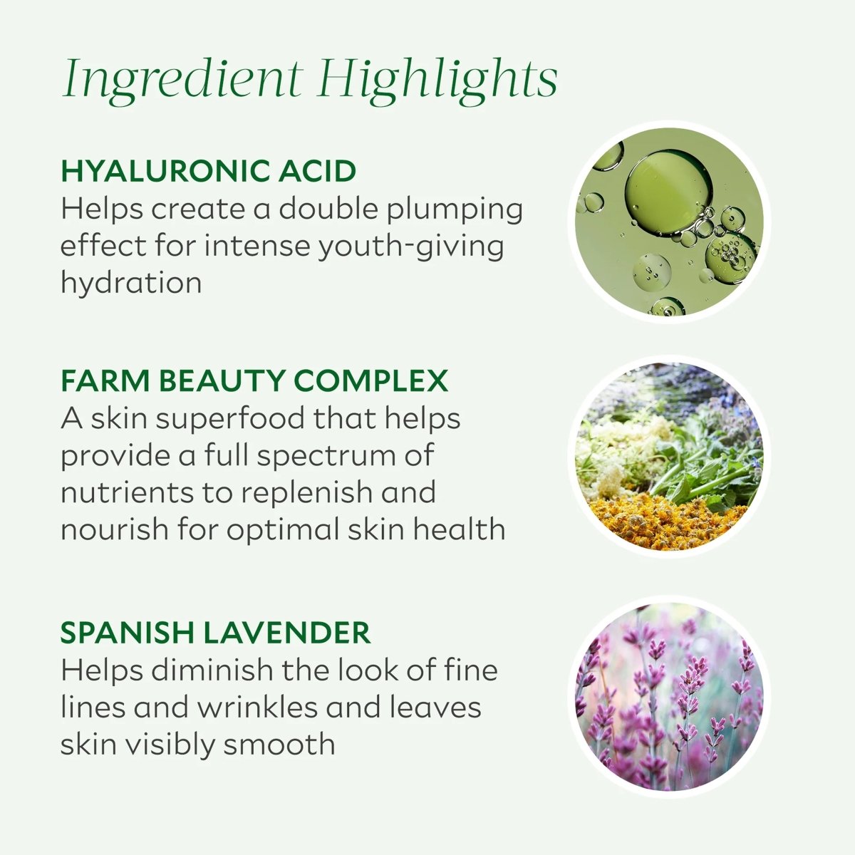 Repairative Moisturizer - Tata Harper - Beauties Lab