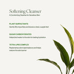Superkind Softening Cleanser - Tata Harper - Beauties Lab