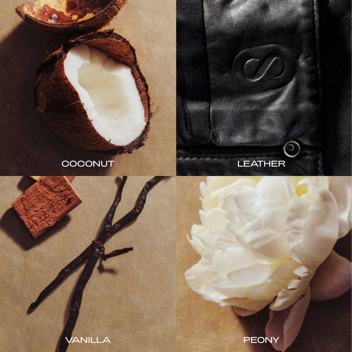 The Cream - SIDIA - Beauties Lab