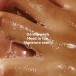 The Wash - SIDIA - Beauties Lab